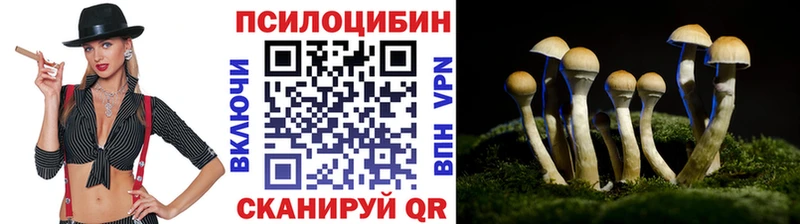 Псилоцибиновые грибы мухоморы  Спасск-Рязанский 